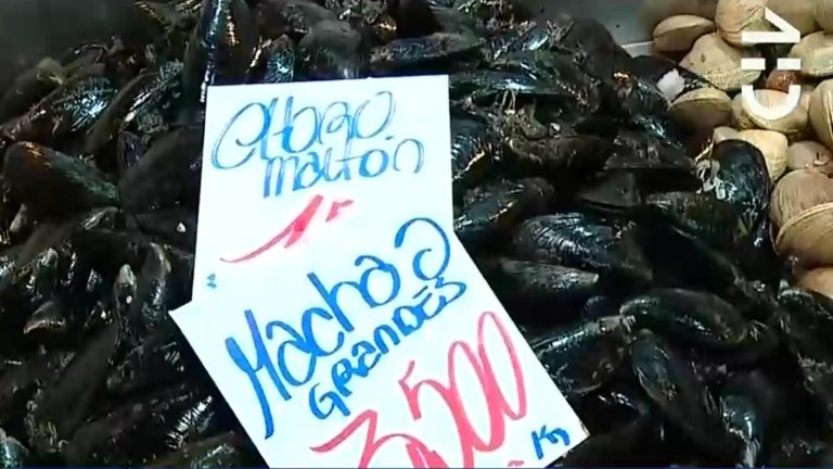 Detectan marea roja en el norte: Seremi de Salud realizó intensa fiscalización en Terminal Pesquero