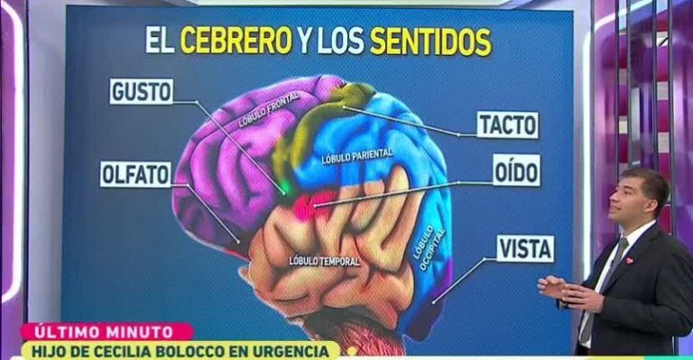 ¿En qué consiste la operación de Máximo Menem? - Parte 1
