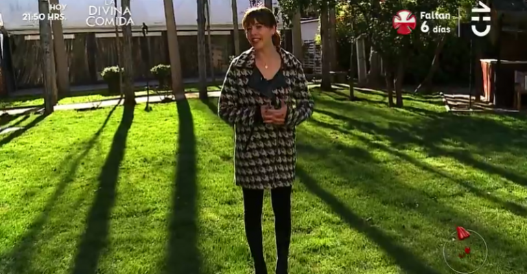 Flor de Chile | Capítulo 24 de noviembre