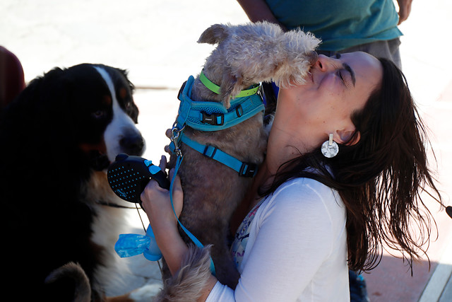 ¿Por qué las mujeres prefieren a sus mascotas que a sus hombres en la cama?