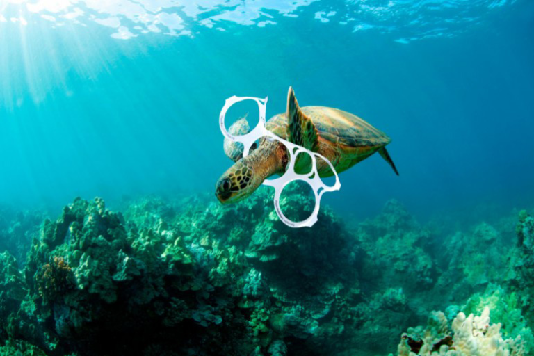 ¿Sueles comprar six pack de cervezas? Estos nuevos empaques 100% libre de plástico protegen el medio ambiente