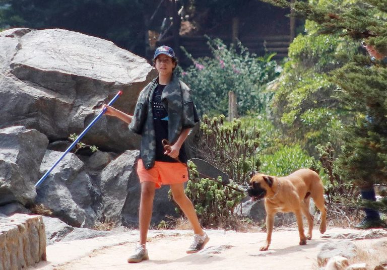 El mensaje de Máximo Menem en Instagram para agradecer el apoyo tras su operación cerebral