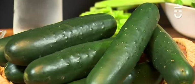 Hidrata y tiene solo 20 calorías: Las propiedades y beneficios del pepino de ensalada