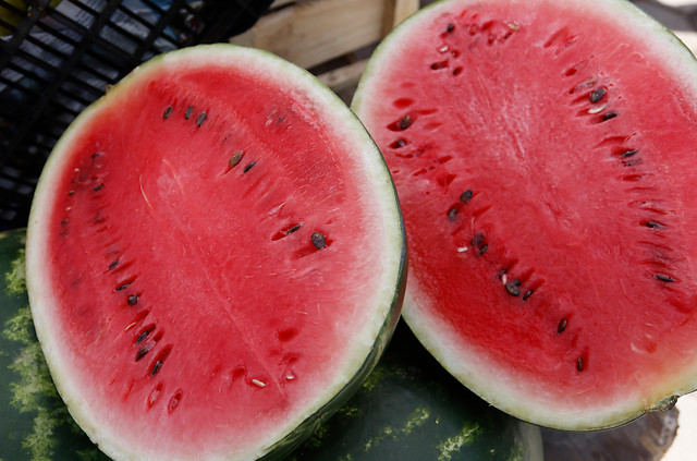 3 millones de unidades listas para la venta: Abren temporada oficial de sandías de Paine