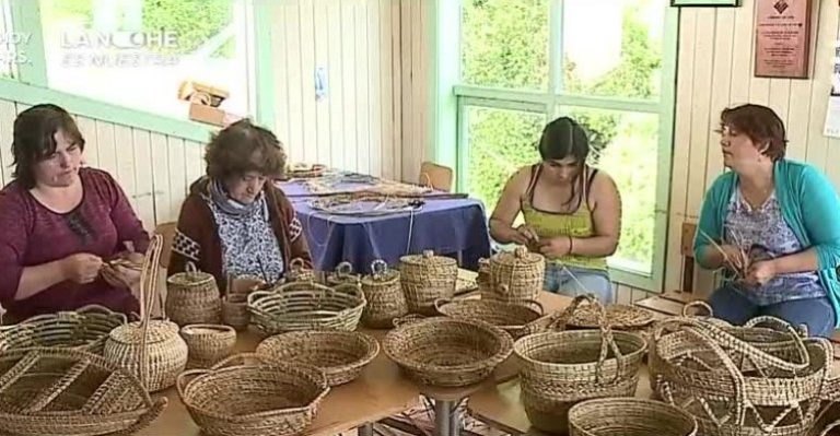 Los huasitos fueron en busca de las artesanías en fibra vegetal de Quinchao