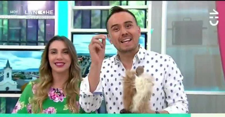 Sabingo | Capítulo 2 de diciembre - Parte 3