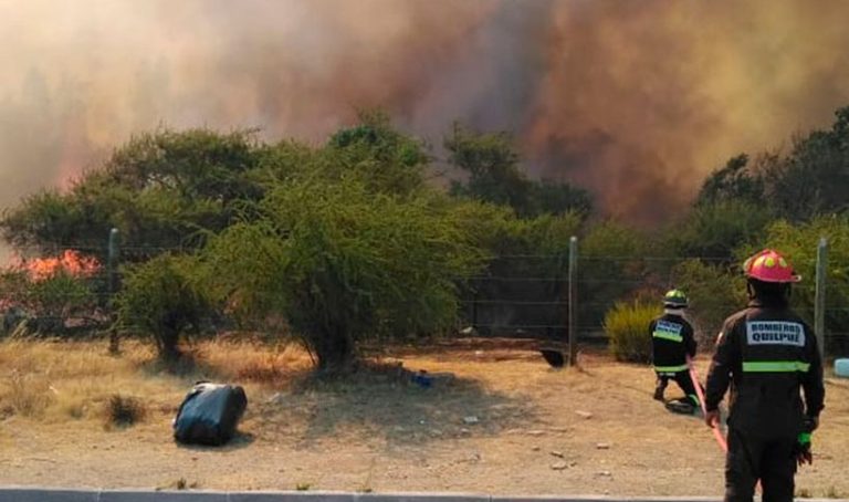 Onemi declara alerta roja para Quilpué por incendio forestal