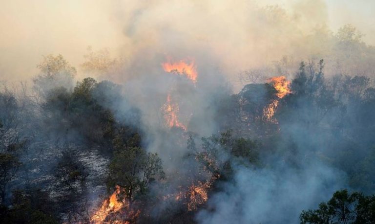 A 2 años de los incendios forestales más grandes del país: ¿Cuánto hemos aprendido?