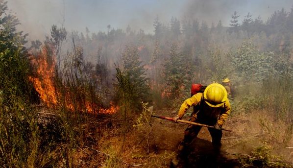 Registro capta el momento en que un grupo de jóvenes dio inicio a un incendio forestal en Valparaíso