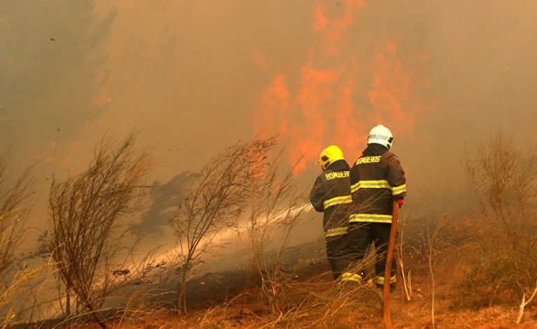 Video muestra cómo un grupo de jóvenes iniciaron incendio forestal en Curauma