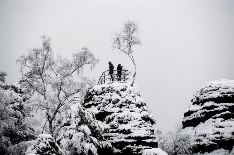 Niño de 7 años murió aplastado por un árbol en medio de intensa nevazón en Alemania