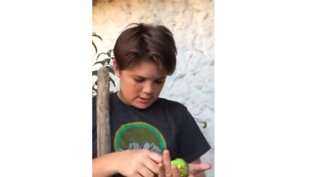 Netflix le rindió homenaje a Chimuelo con un meme basado en “Bird Box”