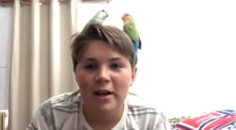 ¿Chimuelo TV?: Renato, el dueño de la famosa mascota, se luce como youtuber