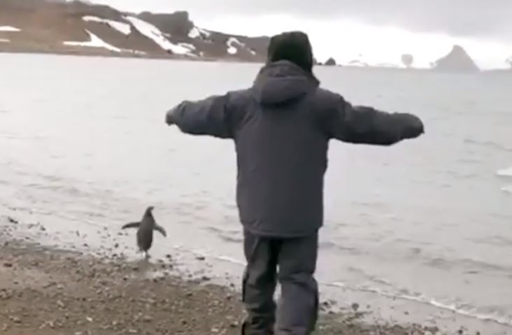 No es el de Batman: Sebastián Piñera compartió imagen donde imita a un pinguino