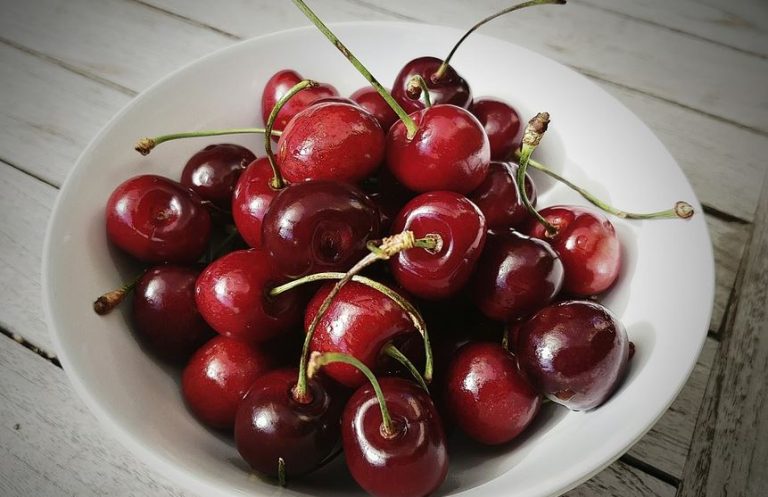 Evitan los calambres y regulan el sueño: Los beneficios de consumir guindas o cerezas