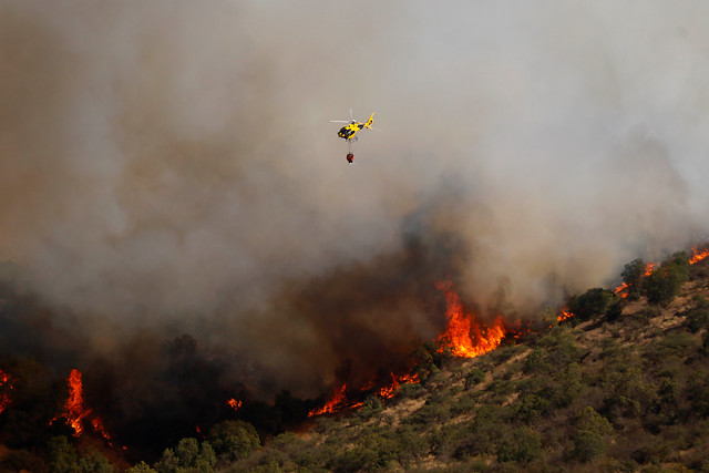 Incendio forestal en Casablanca ha consumido al menos una vivienda y cerca de 200 hectáreas