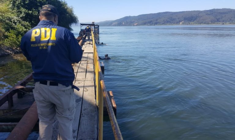 Encuentran cuerpo en Chiguayante: Se investiga si corresponde al de Tamara Zurita