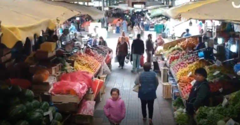 Historias de mercado: Acompáñanos a conocer la feria Pinto de Temuco
