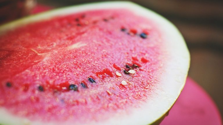 Antioxidantes y baja en calorías: Los beneficios de la sandía, una de las frutas favoritas del verano