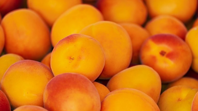 Cómo salvarse de la listeria, la peligrosa bacteria presente en alimentos que puede provocar aborto espontáneo