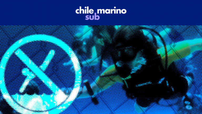 Embarazadas, fumadores y personas con cirugías pueden poner en peligro su salud si deciden bucear