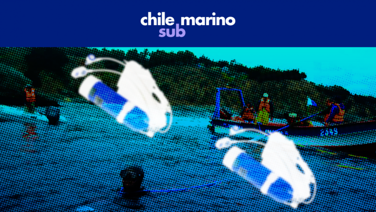 Los requisitos que debes cumplir en Chile para obtener una matrícula de buzo profesional