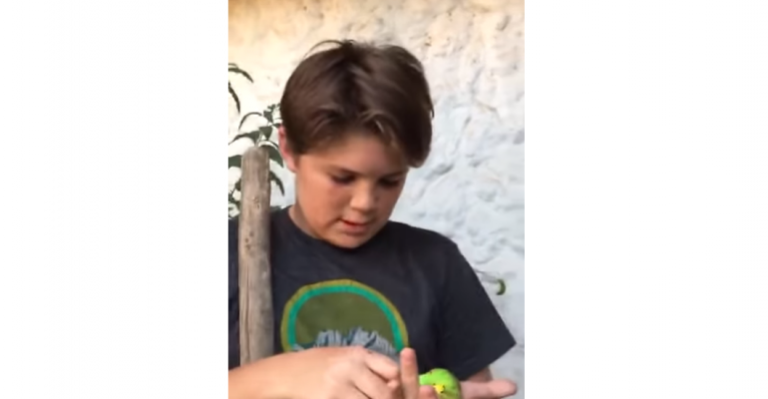 Video de Chimuelo se convirtió en el primer viral de 2019