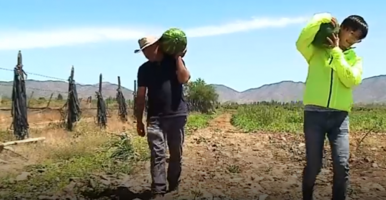 Yuhui conoció el mundo de la sandía
