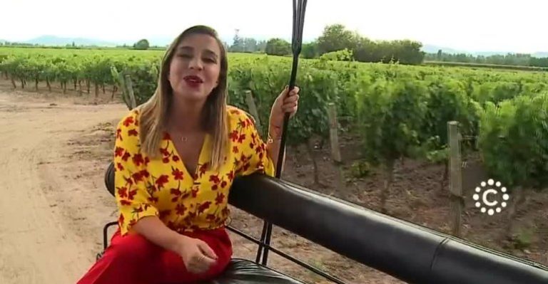 Flor de Chile | Capítulo 20 de enero - Parte 2