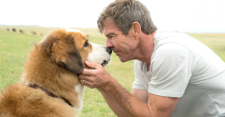 “La razón de estar contigo” lanzó tráiler de su segunda parte