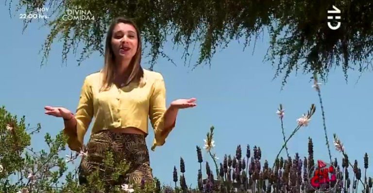 Flor de Chile | Capítulo 12 de enero - Parte 2