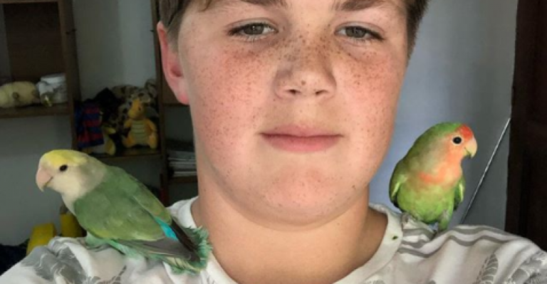 Dueño de “Chimuelo” presentó a su nueva mascota en redes sociales