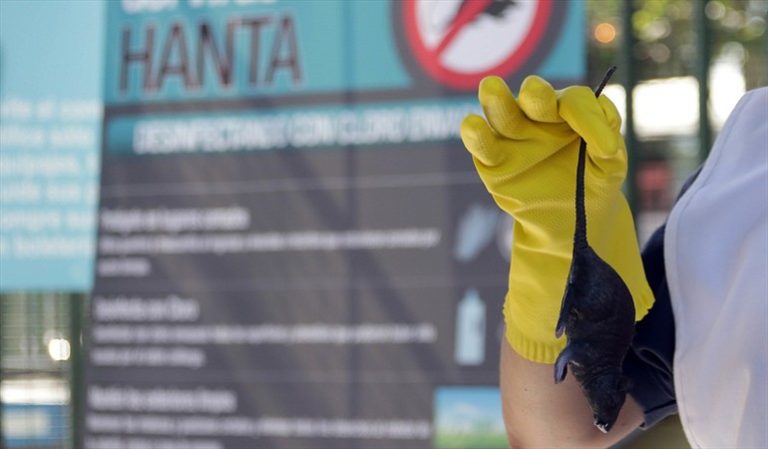 Nombran hija ilustre de Puerto Montt a doctora que creó una cura para el virus hanta