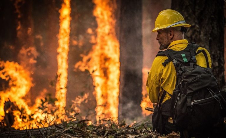 Alerta roja en la provincia de Cautín por 27 incendios forestales activos