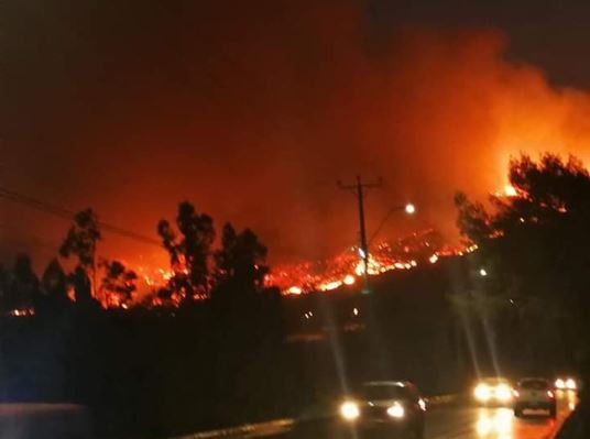 Carahue bajo el fuego: Habitantes piden ayuda para combatir incendio forestal