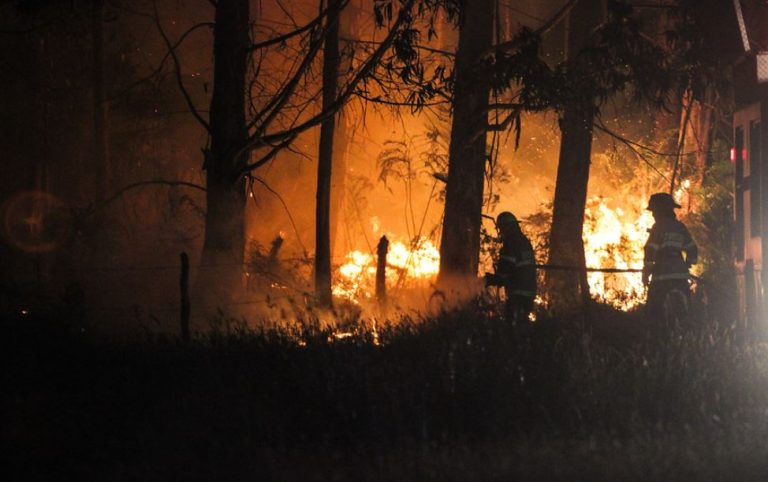 Mega incendios en el sur de Chile han dejado 2 muertos y 3.200 hectáreas destruidas