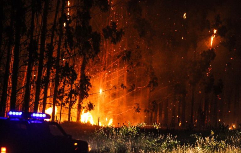Incendios en el sur: ¿En qué consiste el “estado de excepción constitucional” decretado para 3 regiones?