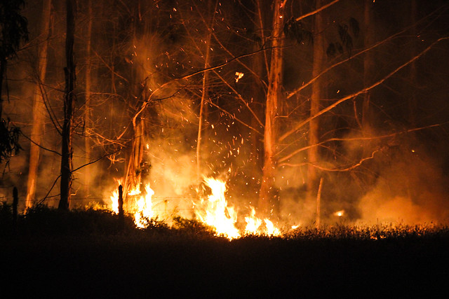 Se han registrado 86 incendios forestales entre la región Metropolitana y la de Aysén