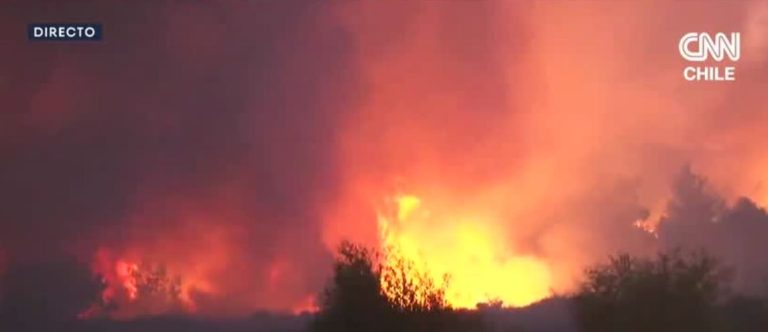 Declaran alerta amarilla en provincia de Concepción por incendios forestales: Investigan intencionalidad