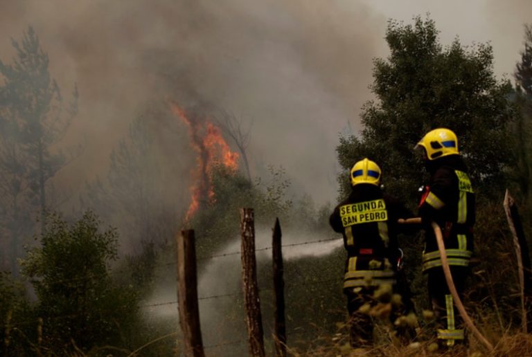 Autoridades decretan toque de queda para la provincia de Concepción por incendios forestales