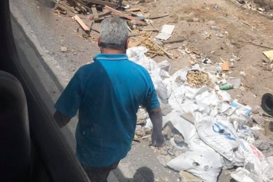 El noble gesto de un chófer de Transantiago con unos perritos abandonados