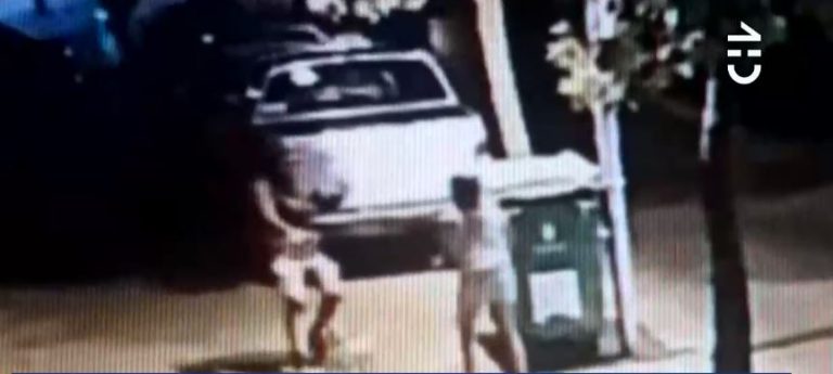 Mujer fue víctima de asalto en Santiago Centro: Querían a su perro raza pug