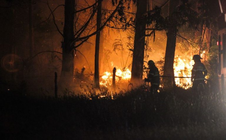 31 incendios están activos en el país: La Araucanía es la región más afectada y Aysén enfrenta su peor catástrofe forestal