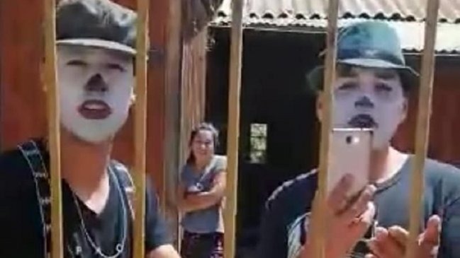 Instalaron TV cable y cambiaron las chapas: Mimos se tomaron casa en La Serena y ahora la dueña exige que se vayan