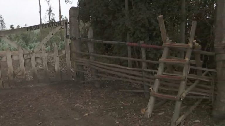 Una escalera de madera sobre un cerco: La respuesta de los dueños de fundo que impiden acceso a playa en O'Higgins