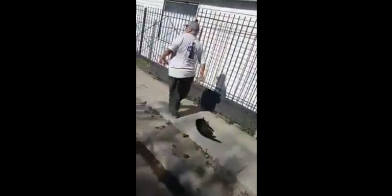 Maltrato animal: Hombre arrastra del cuello a un gato provocándole ahorcamiento y amenaza con golpear al denunciante