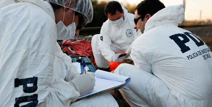 Encuentran huesos humanos en la Ligua: PDI investiga la data del hallazgo