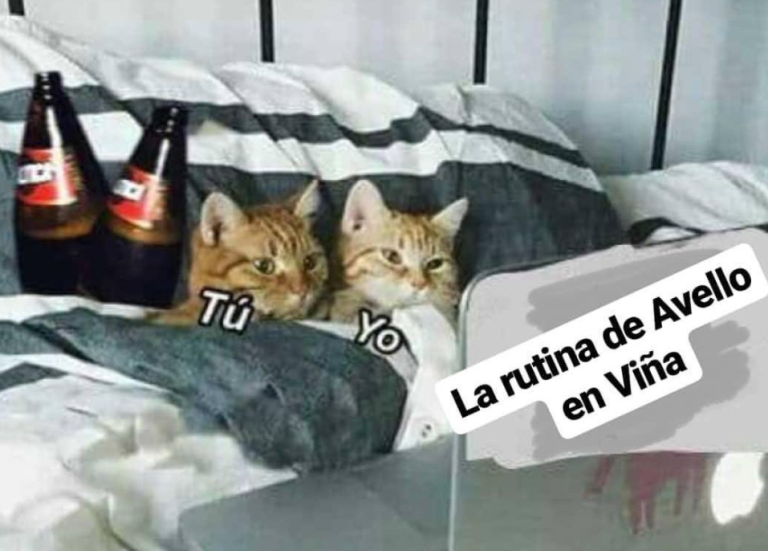 Se viene el “Pececillo”: Los memes que surgen en la previa del show de Felipe Avello