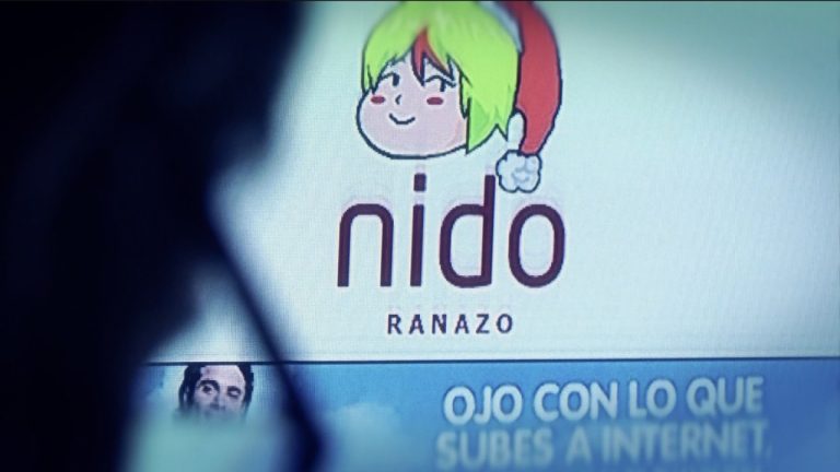 A 121 han subido las denuncias a la PDI por Nido.org: 25 involucran a niñas y adolescentes