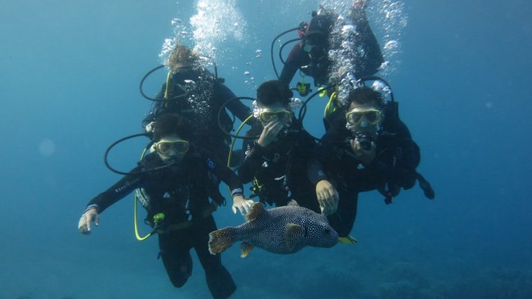 Las Torpederas, Juan Fernández e Isla de Pascua: Las mejores imágenes del Chile Submarino que recibimos en CHV Noticias